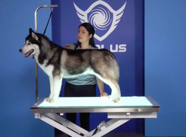 LED Electric Grooming Table (48"x25") - Image 4