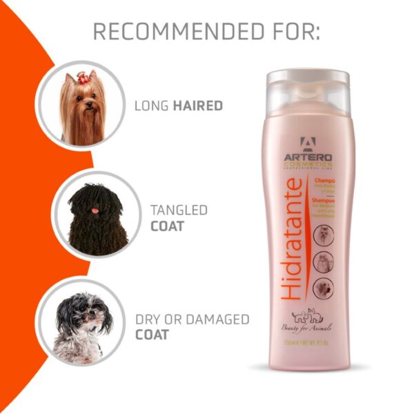 Artero Hidratante Shampoo 5:1 180 Oz (Approx. 1.5 gallons) - Image 3