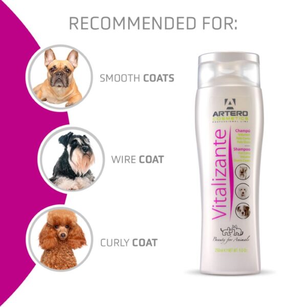 Artero Vitalizante Shampoo 180 Oz 5:1 (Approx. 1.5 gallons) - Image 2