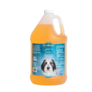 Bio Groom Groom N Fresh Odor Eliminator Dog & Cat Shampoo Gallon